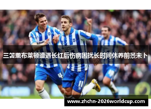 三笘薰布莱顿遭遇长红后伤病困扰长时间休养前景未卜
